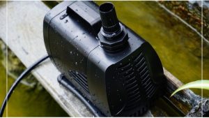 Best Pond Pump for the Money: Expert-Tested, Reliable Picks