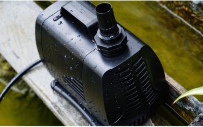 Best Pond Pump for the Money: Expert-Tested, Reliable Picks