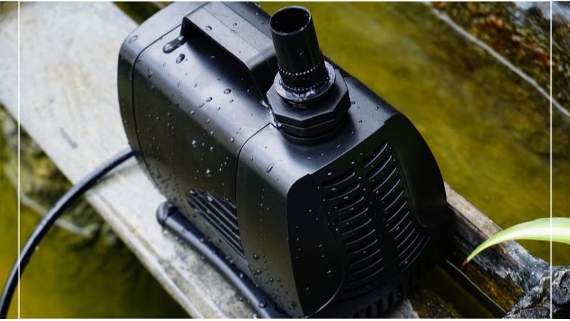 best pond pump for the money
