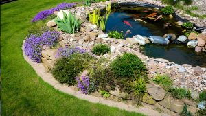 Best Portable Koi Pond For Backyard: Essential Reliable