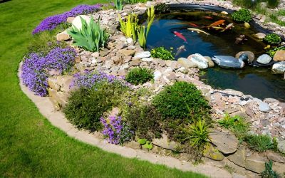 Best Portable Koi Pond For Backyard: Essential Reliable