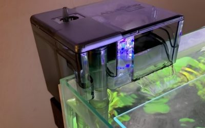 Best Power Filter for 20 Gallon Tank: Smart, Reliable Picks