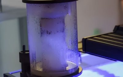 Best Protein Skimmer for a Frag System: Top Expert Picks