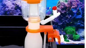 Best Protein Skimmer for a Mixed Reef: Top Expert Picks