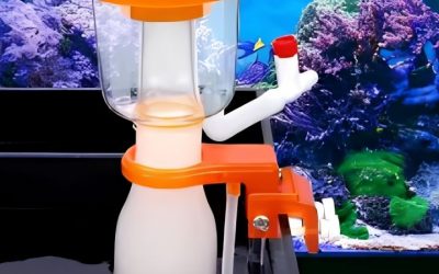 Best Protein Skimmer for a Mixed Reef: Top Expert Picks