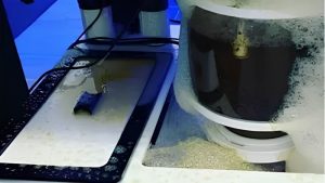 Best Protein Skimmer for an SPS Dominated Tank: Top Compared