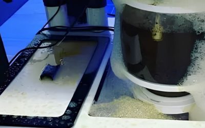 Best Protein Skimmer for an SPS Dominated Tank: Top Compared