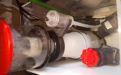Best Protein Skimmer for the Money: Top Smart Buying Guide
