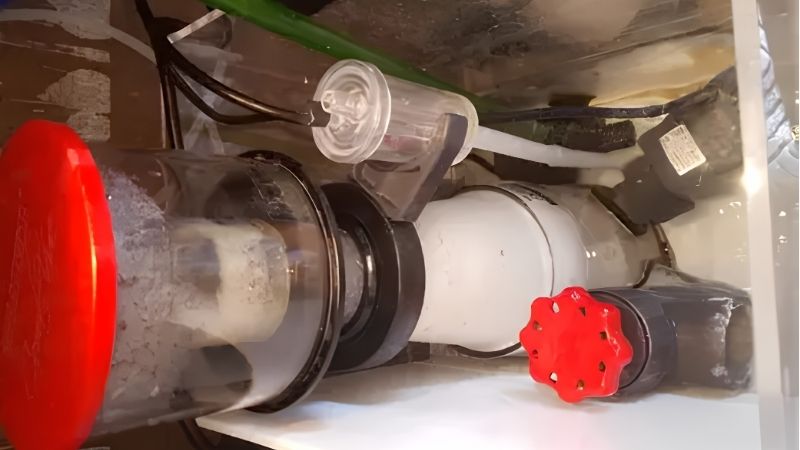best protein skimmer for the money