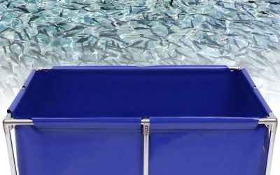 Best Pvc Canvas Fish Pond For Koi Farming: Top Ultimate