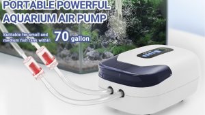 Best Quiet Aquarium Air Pump for Bedroom: Buyer’s Guide