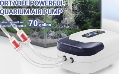Best Quiet Aquarium Air Pump for Bedroom: Buyer’s Guide