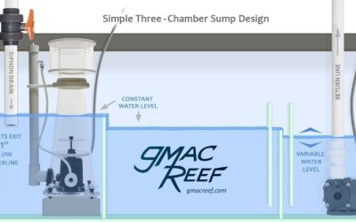 Best Quiet Aquarium Sump: Top Expert Buying Guide for Tanks