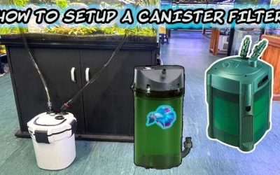 Best Quiet Canister Filter for Bedroom Tanks: Expert Picks