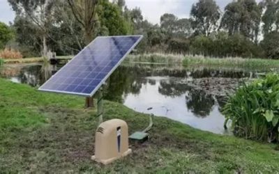 Best Quiet Pond Aerator: Top Smart Shortlist for Beginners