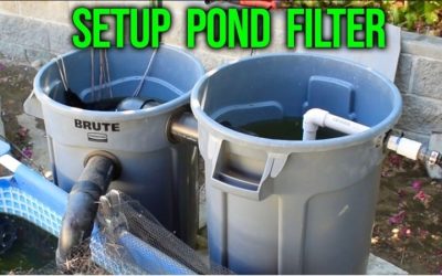 Best Quiet Pond Filter System: Calm Low-Noise Smart Picks