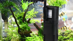 Best Rainfall Spray Bar Aquarium Filter: Smart Easy Picks