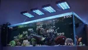 Best Reef LED Light for a Nano Reef: Compact Smart Picks