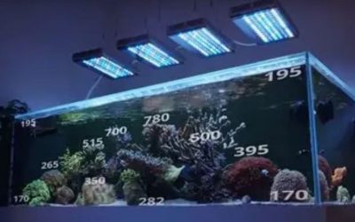 Best Reef LED Light for a Nano Reef: Compact Smart Picks