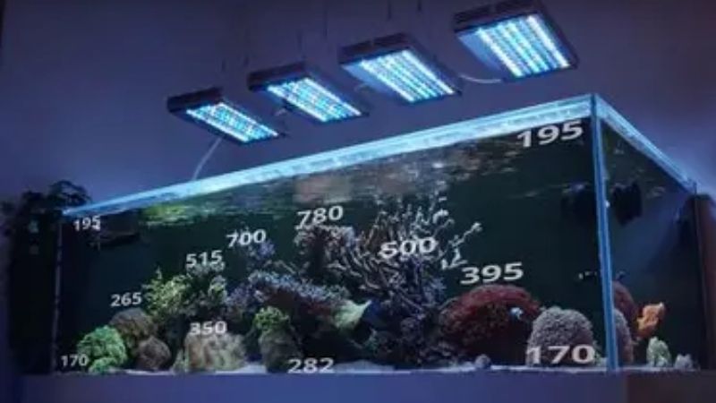 best reef led light for a nano reef