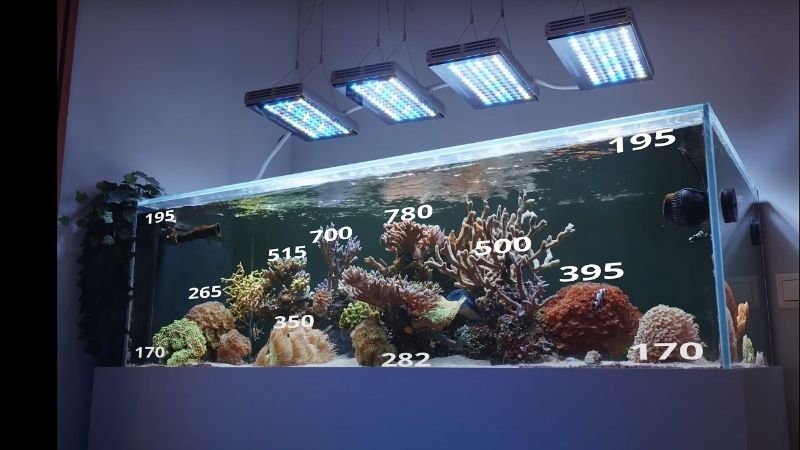 best reef led light for the money