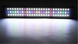Best RGB Aquarium Light for Color Pop: Top Top Picks