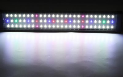 Best RGB Aquarium Light for Color Pop: Top Top Picks