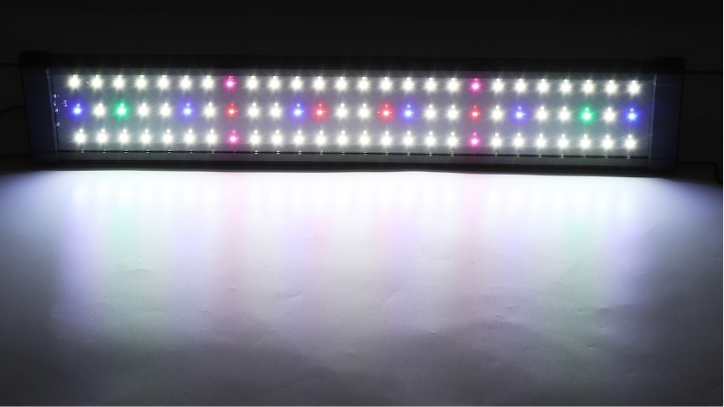 best rgb aquarium light for color pop
