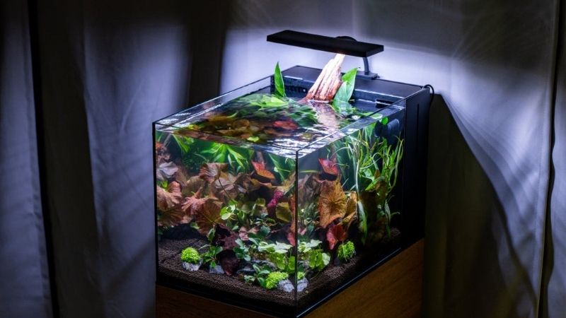 best rimless aquarium setup checklist