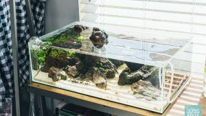 Best Rimless Aquarium Tank: Best Proven Expert Tested Guide