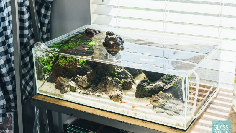 best rimless aquarium tank
