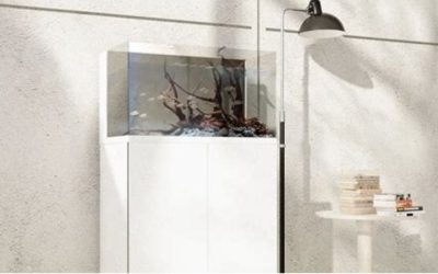 Best Rimless Aquarium With a Stand Included: Top-Rated