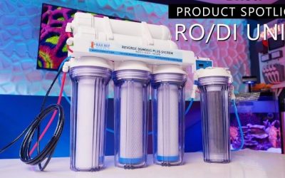Best RODI System for a 125 Gallon Tank: Top Expert Guide