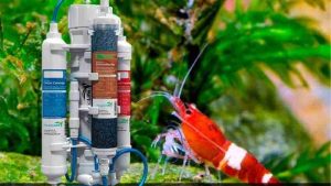Best RODI System for a 55 Gallon Tank: Top Expert Guide