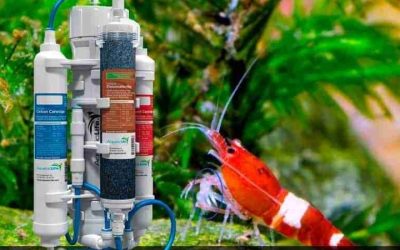 Best RODI System for a 55 Gallon Tank: Top Expert Guide
