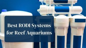 Best RODI System for a 75 Gallon Tank: Top Expert Guide