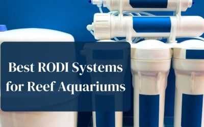 Best RODI System for a 75 Gallon Tank: Top Expert Guide