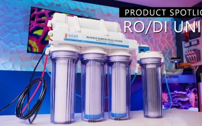 Best Rodi Water Filter System For Aquariums: Top Expert