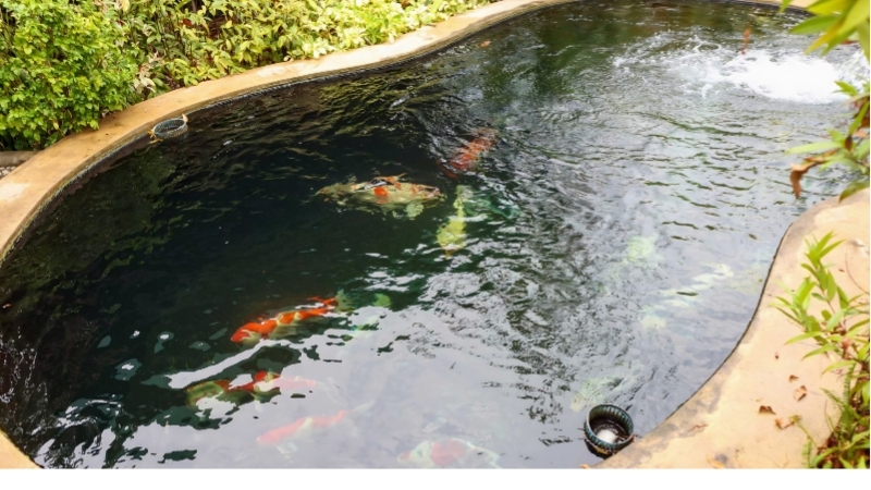 best round canvas fish pond for goldfish
