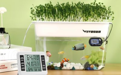 Best Self Cleaning Fish Tank: Smart Picks for Easier Care