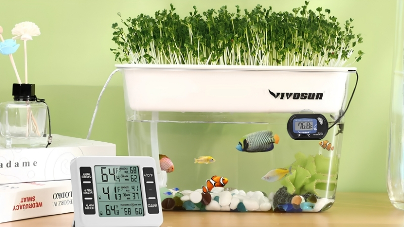 best self cleaning fish tank