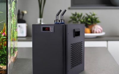 Best Semiconductor Aquarium Chiller for Nano Tanks: Picks