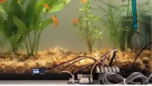 Best Smart Aquarium Monitoring System With Alerts: Tested