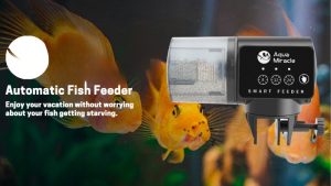 Best Smart Aquarium With Auto Feeder Built In: 4 Options