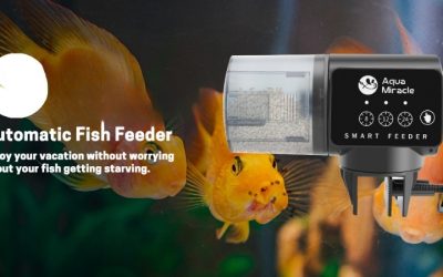 Best Smart Aquarium With Auto Feeder Built In: 4 Options