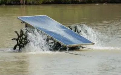 Best Solar Powered Pond Filter System: Off-Grid Smart Picks