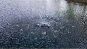 Best Solar Powered Pond Pump: Well-Researched, Reliable Picks