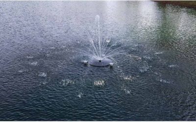 Best Solar Powered Pond Pump: Expert-Tested, Reliable Picks