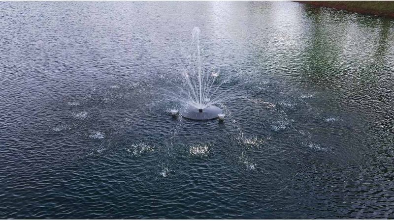 best solar powered pond pump