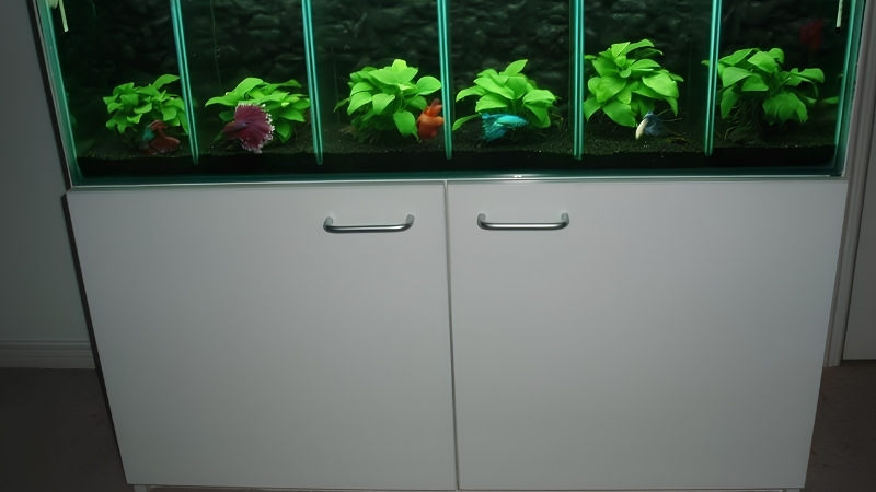best stackable betta tanks